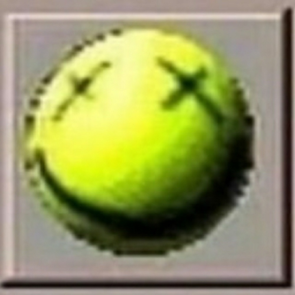 Meet your Posher, Connor